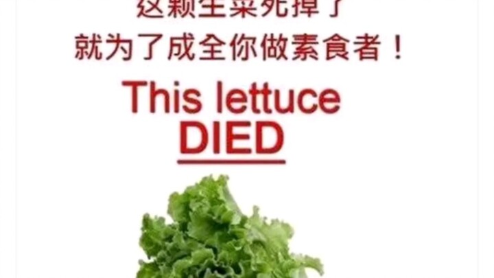 Gambar-gambar lucu dari komunitas vegetarian