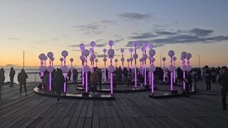 Festival of Lights - Winter 2025
