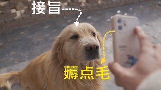 b友想要我的狗毛？？
