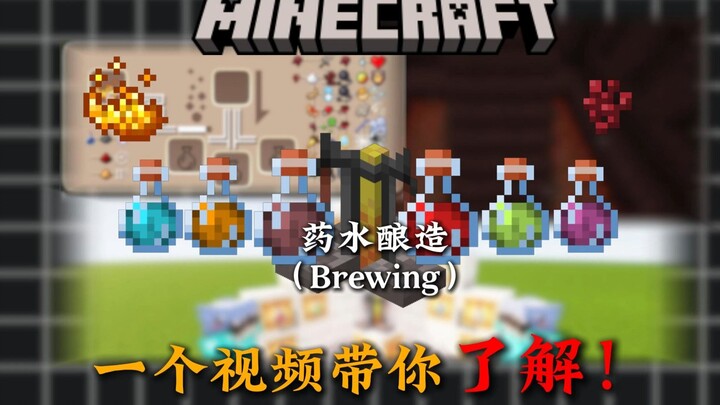 4 Minutes to Master Everything About Brewing MC Herbal Water!