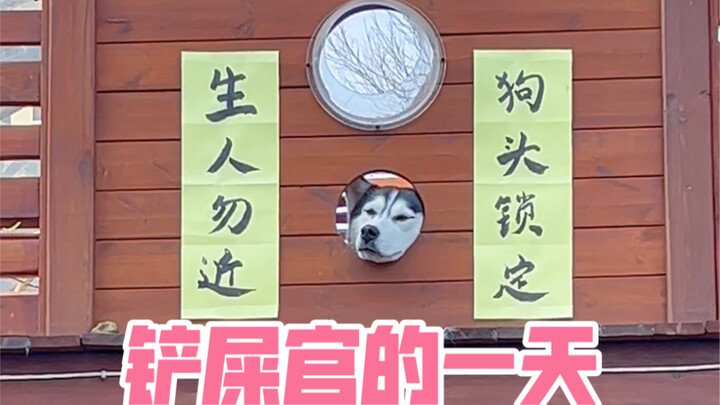 ฉันงงว่าทำไมหมาหายไปตัวนึง ที่แท้ก็ไปเฝ้าอยู่บนหอสังเกตการณ์นี่เอง…