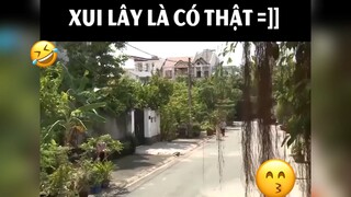 Xui lây là có thật 🤣🤣🤣