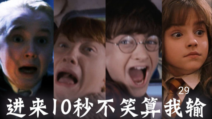 只有哈迷才懂的梗29