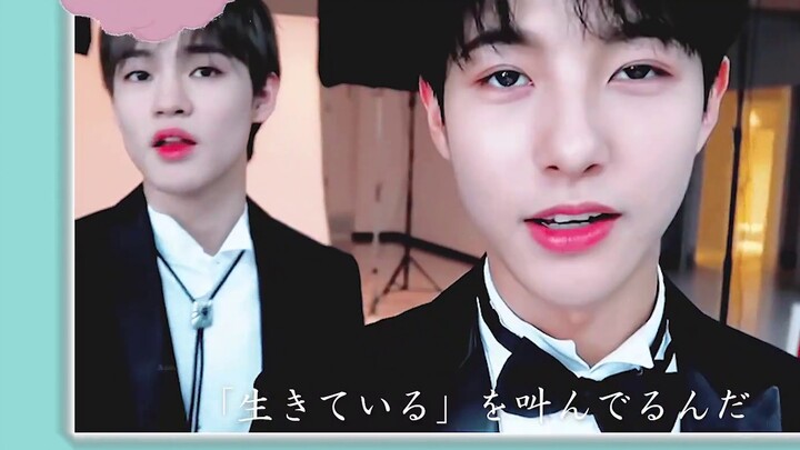 [Sweet as Hell] The heart-warming moment of 19-year-old Chinese idol Huang Renjun that even makes Am