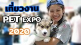 พาเที่ยวงาน Pet Expo Thailand 2020 เจอสัตว์Exoticเยอะเลย