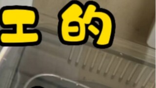 วันนี้วันเสาร์ฉันทำงานล่วงเวลา 8.25 ชั่วโมง และมีรายได้อีก 10,642 เยน เมื่อกลับถึงบ้านอยากทำวุ้นเส้น