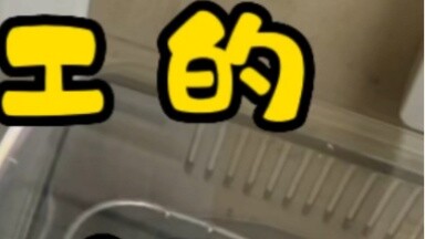 I worked overtime for 8.25 hours today on Saturday and earned another 10,642 yen. When I got home, I