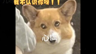 Oh no, my mom's here!