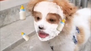 Seberapa efektifkah masker botol bayi?