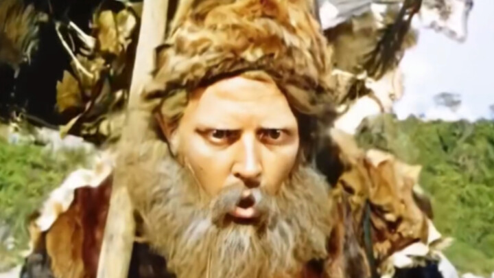 A man is shipwrecked on a deserted island and struggles to survive alone for 28 years — the adventur