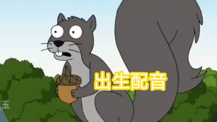 【恶搞之家】【中配】什么出生动物?