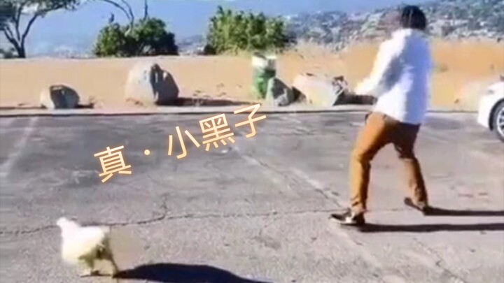 “Chân Tiểu Hắc Tử”