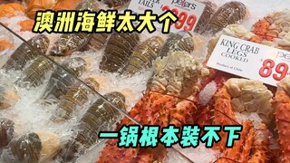 Landing in the Australian market, experiencing the local fresh seafood~