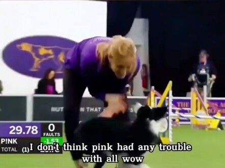 البطل المطلق للرشاقة لثلاث دورات متتالية