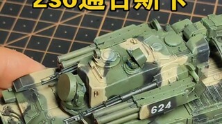 2s6通古斯卡成品展示