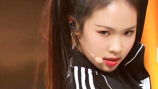 [Cảm giác hồi hộp sau giờ học] cover LISA + aespa + TWICE + BTS + MAMAMOO bộ sưu tập sân khấu tối na