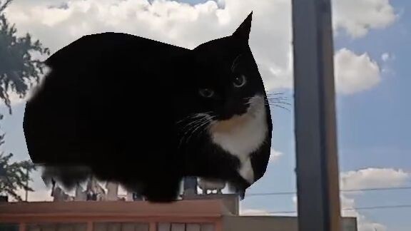 Maxwell The Cat in Ecatepec City