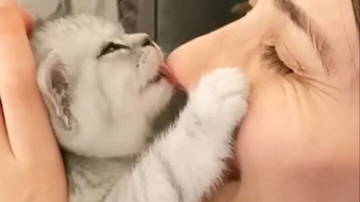 “This is probably why people love cats!”