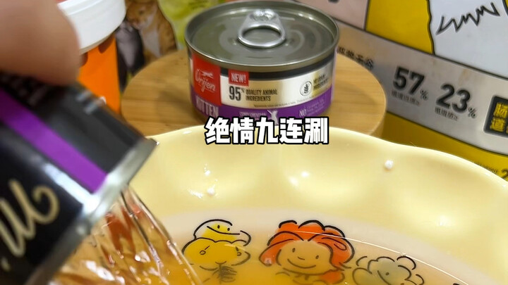 Bữa ăn “ngập mồm” cho chú mèo con 6 kg | Lí Bala, cậu nổi tiếng lắm!