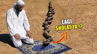 SUBHANALLAH !! Reaksi Hewan Buas Ketika Melihat Orang Sholat