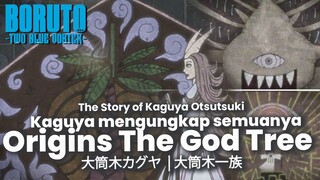 BORUTO TERBARU- KAGUYA THE GOD TREE AND FORBIDDEN FRUIT KISAH ORIGINAL OTSUTUSKI AWAL SAMPAI BORUTO