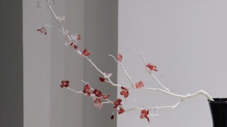 Make every city in China a Nanjing of Flowers