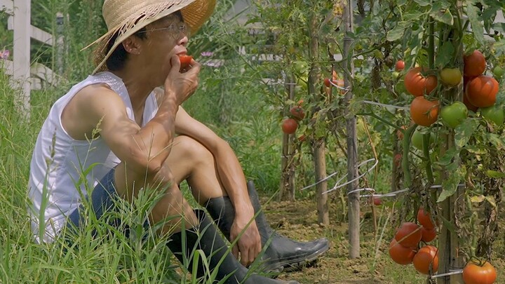 Menanam sayur memang menyenangkan, hanya saja tidak bisa habis dimakan