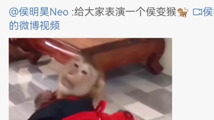 Trời ơi, cậu nhanh xóa đi thôi! Hầu Minh Hạo, cậu lại dùng cái mặt đẹp trai của mình làm gì thế, á á