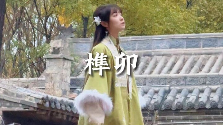 Hãy gìn giữ từng mộng gỗ, từng khớp nối này, đừng để trí tuệ của tổ tiên trở thành bệ đỡ giúp nước k