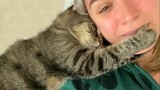 Most cutest and sweetest moments cat show their love to their human ❤️