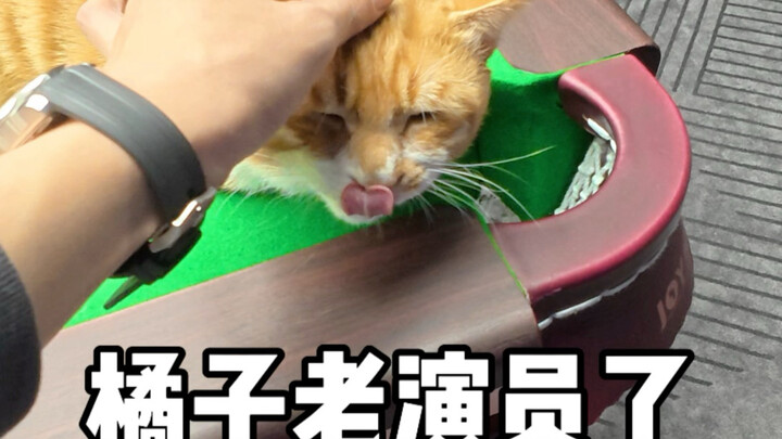 Aktor Tua Ju Zi Online