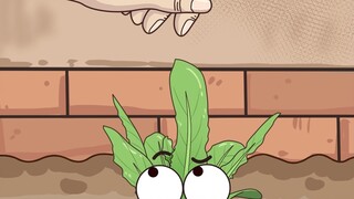 Growing vegetables in this place, is it a "poison" to hit the tip of your tongue or a challenge to t