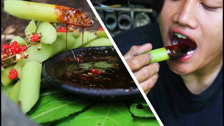 Survival Skills | Makan Rujak Batang Tembilung (Tembilungan), Tanaman liar di hutan. ASMR