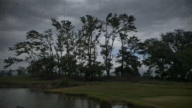 THE ADVENTURE OF PEDRO PENDUKO IN MOUNT MAKILING