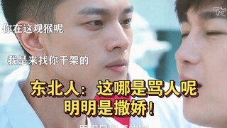 事实证明东北和台湾人根本吵不起来 东北人：这哪是骂人呢，明明是撒娇！