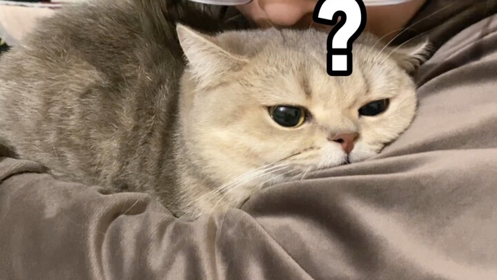 Kan kucing kecil memang dibuat buat dicium, ya!