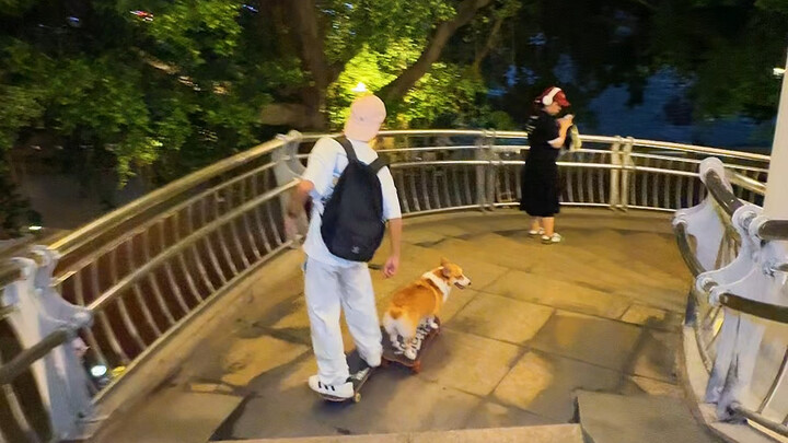Lomba Skateboard Antara Aku dan Anjing.