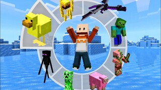 New !! Addon Morph MCPE dengan Tampilan Animasi Baru