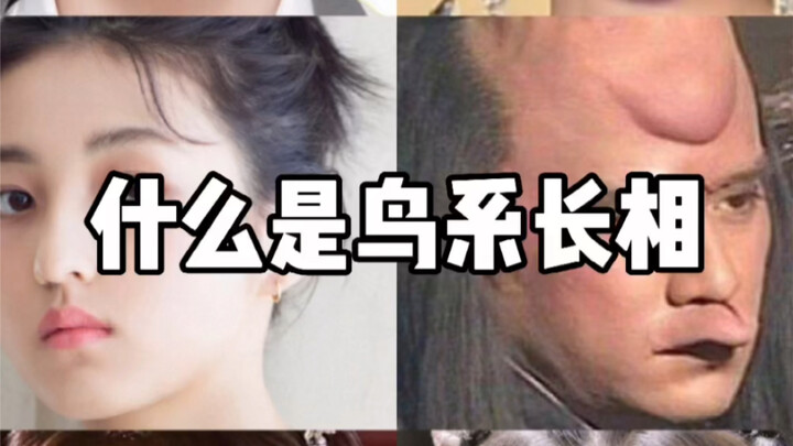 【Toàn Thương】Thế nào là khuôn mặt kiểu “chim”?