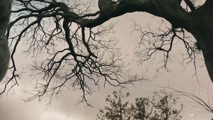 THE ISLAND(title English sub)