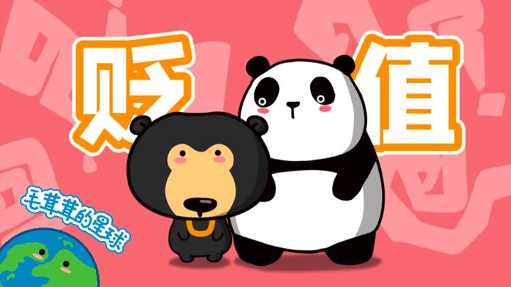 Malayan Sun Bear: A National Treasure in China, But Jinxed Overseas—What Kind of Unlucky Bear Is Thi