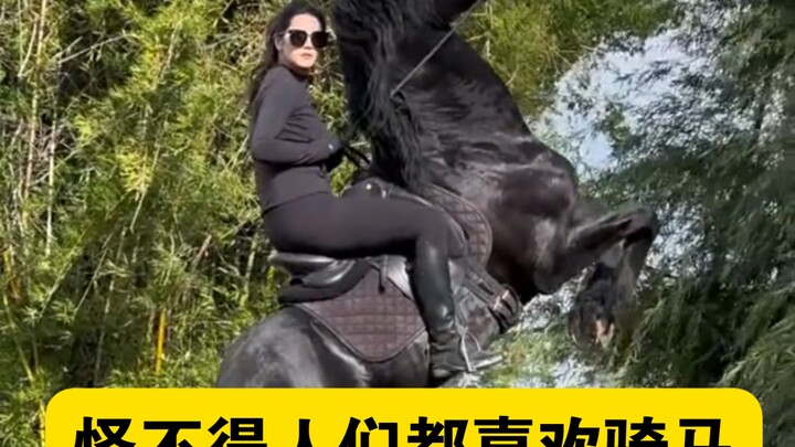 มุมมองบุคคลที่หนึ่งของคนขับรถม้า ดูม้าวิ่งน่าขำมาก