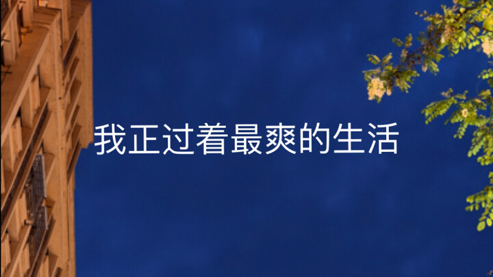 I’m living the most awesome life.