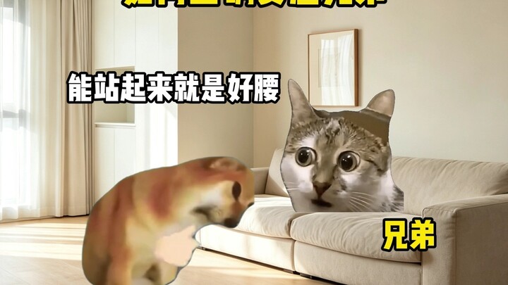 Làm thế nào để an ủi anh em cho đúng cách