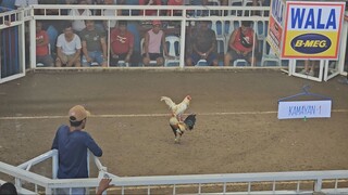 3hits CHAMP @DAGUPAN 1ST FIGHT