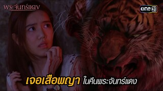 เจอเสือพญาในคืนพระจันทร์แดง | HIGHLIGHT EP.01 พระจันทร์แดง | 29 พ.ค. 67 | one31