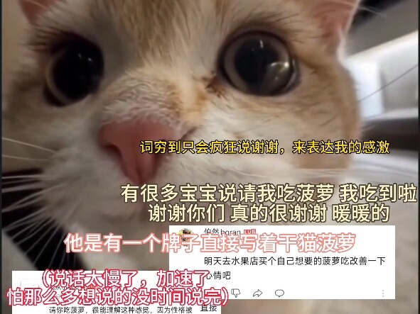 Rất xin lỗi vì video trước đã khiến nhiều bạn cảm thấy buồn phiền. Mình đã ăn dứa khô rồi, mình khôn
