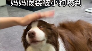 ติดตั้งอีกครั้งแล้วกัดจริงๆ