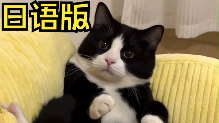 Mèo siêu cấp đáng yêu [Đặc quyền tiếng Nhật]