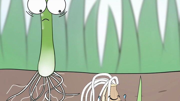 Tỏi để đầu xuống, liệu có mọc lên được không?